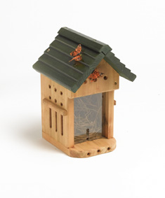 Butterfly and Lacewing House
